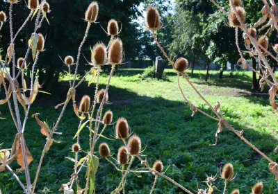 Terezín vojenský zaniklý, Omnium, 2020