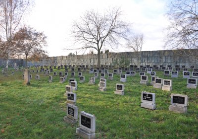 Terezín židovský hřbitov, Omnium, 2020