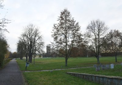 Terezín židovský hřbitov, Omnium, 2020