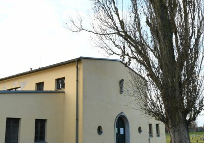 Terezín židovský hřbitov, Omnium, 2020