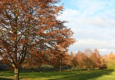 Terezín židovský hřbitov, Omnium, 2020