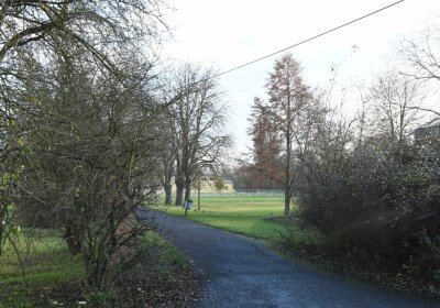 Terezín židovský hřbitov, Omnium, 2020