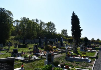 Libčeves, Omnium, 2020