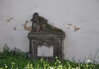 Litoměřice kostel sv. Vojtěcha, Omnium, 2020