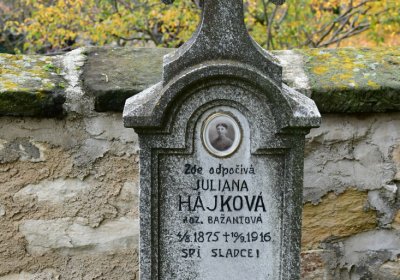 Telce u kostela, Omnium, 2020