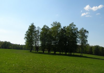 Kmínek Michal, 2020