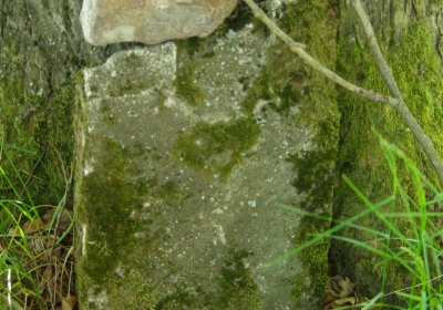 Kmínek Michal, 2020