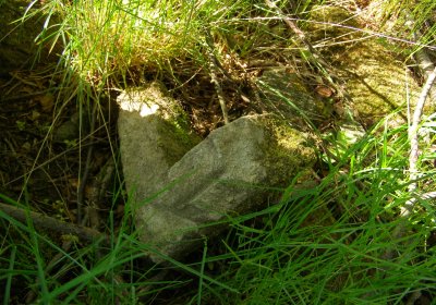 Kmínek Michal, 2020