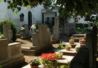 Kmínek Michal, 2020