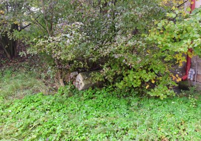 Sutom u kostela, Omnium, 2020