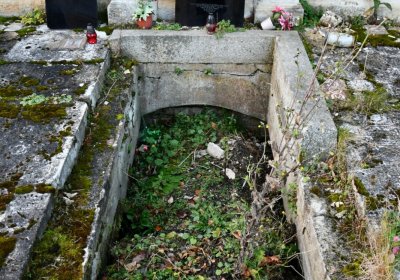O.N., 2021