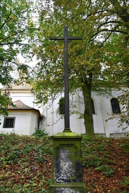 Skorotice