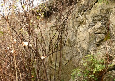 Mikulášovice, Omnium, 2020