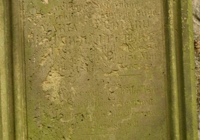 Mikulášovice, Omnium, 2020