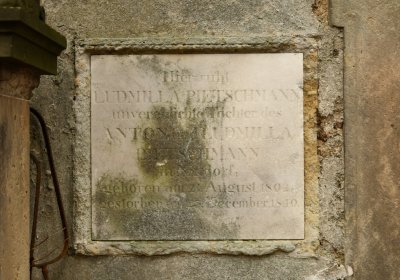 Mikulášovice, Omnium, 2020