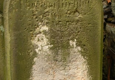 Mikulášovice, Omnium, 2020