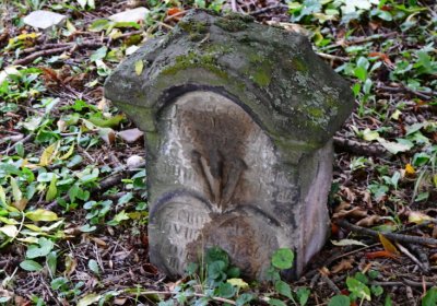 Ječovice u kostela, Omnium, 2020