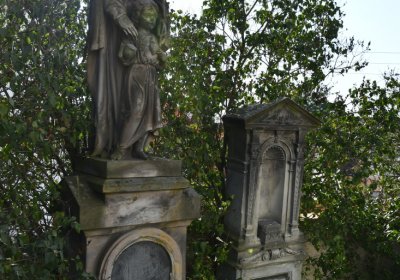 Dobroměřice u kostela, Omnium, 2020