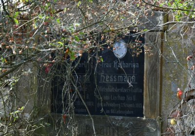 Hradiště, Omnium, 2020