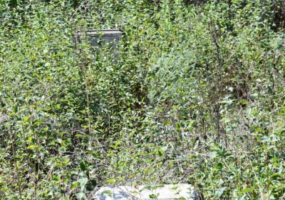 Hradiště, Omnium, 2020