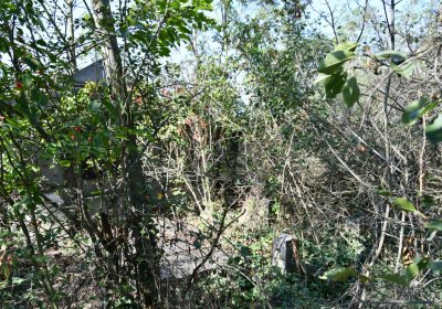 Hradiště, Omnium, 2020