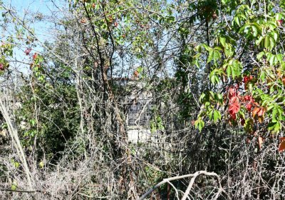 Hradiště, Omnium, 2020