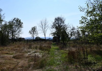 Hradiště, Omnium, 2020