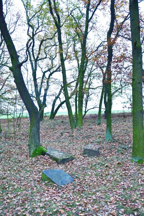 Hořenec