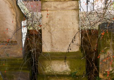 Radíčeves u kostela, Omnium, 2020