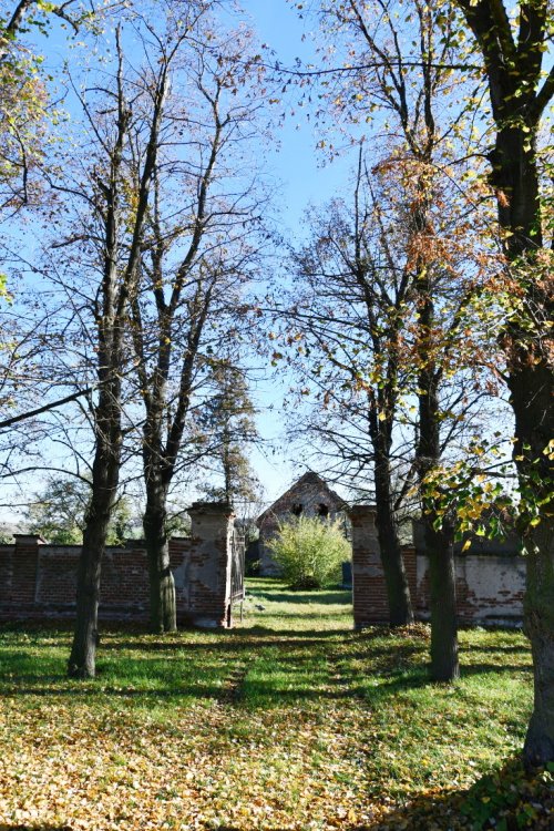 Žabokliky