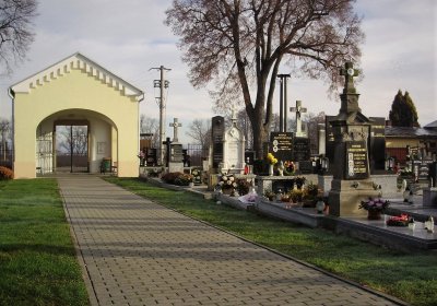 Nisler Petr, 2008