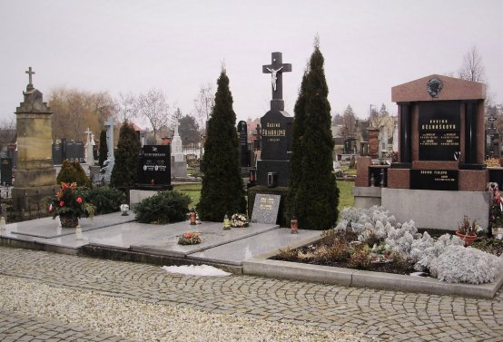 Nisler Petr, 2008