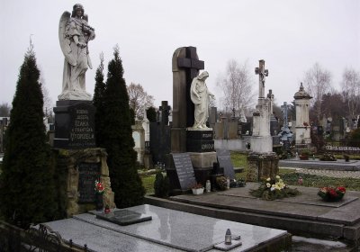 Nisler Petr, 2008