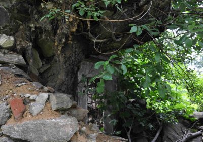 Omnium, 2016