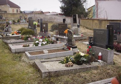 Nisler Petr, 2008