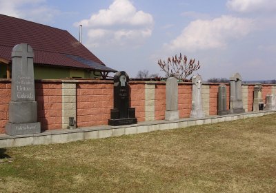 Nisler Petr, 2008