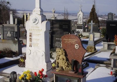 Nisler Petr, Únor 2021