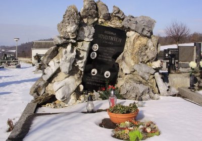 Nisler Petr, Únor 2021