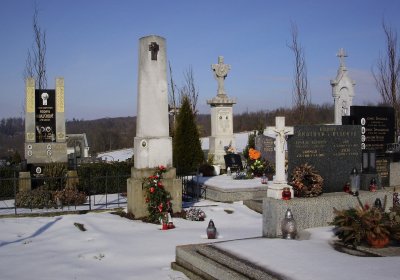 Nisler Petr, Únor 2021