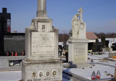 Nisler Petr, Únor 2021