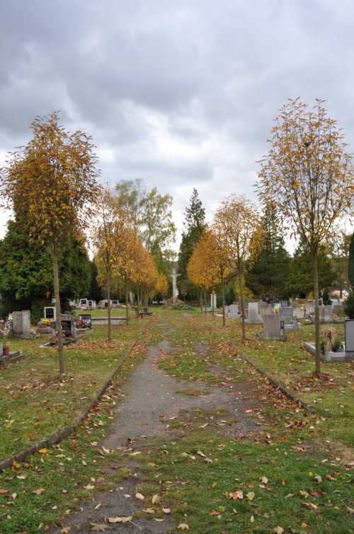 Dubá