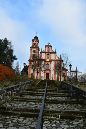 Mařenice