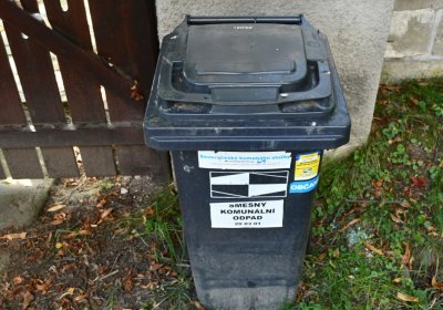 O.N., 2021