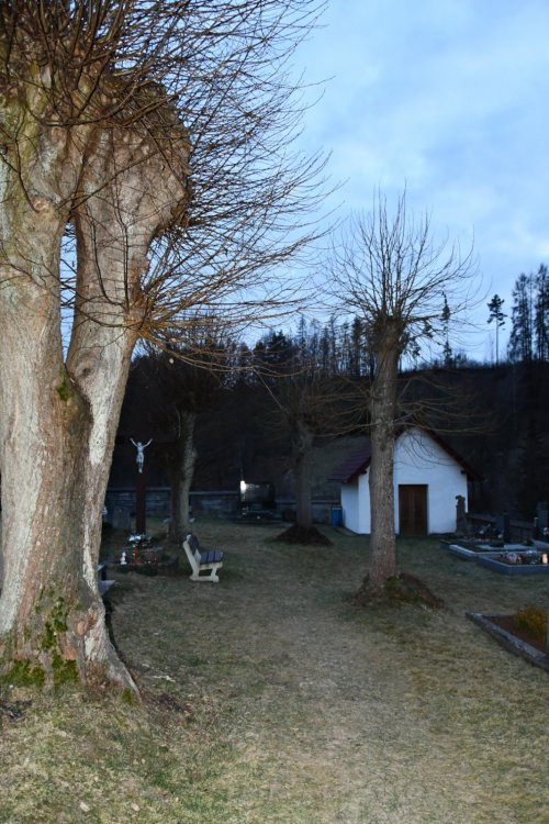 Loktuše