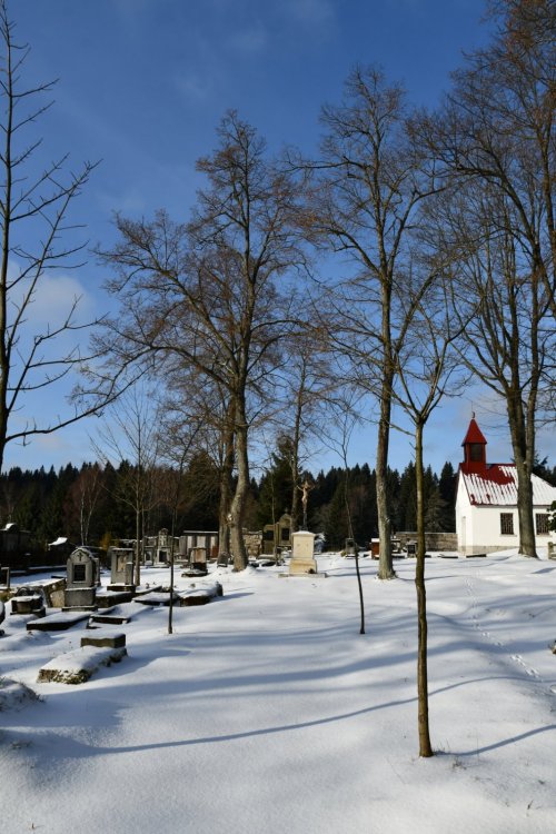 Karlov