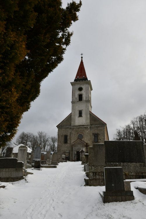 Polubný