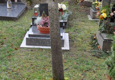 O.N., 2012