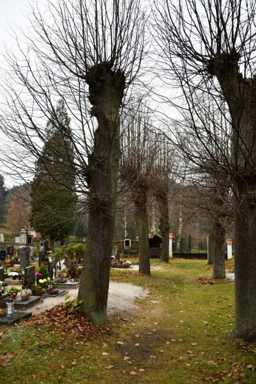 Dolní Prysk