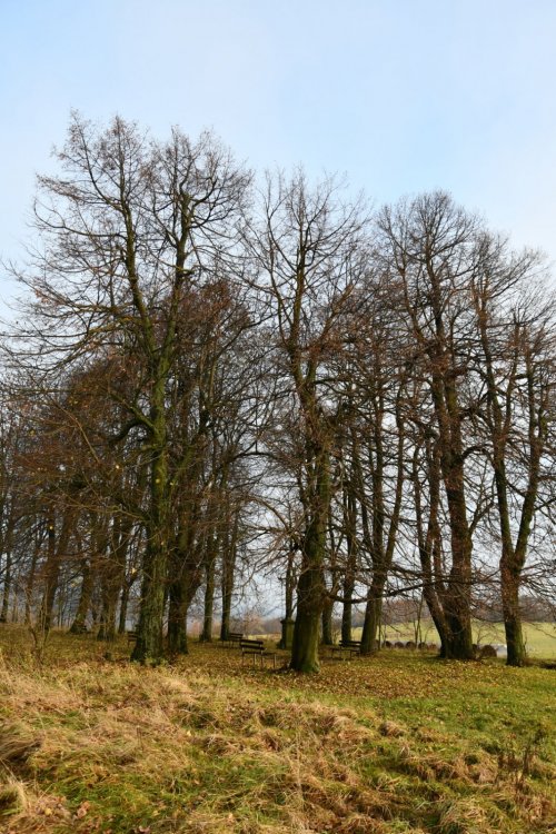 Horní Světlá