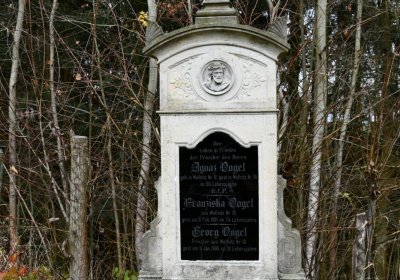 O.N., 2021